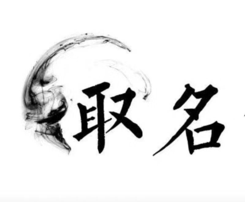  鼎城宝宝取名 大师一对一人工起名